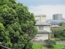 眺望　29枚中 15枚目