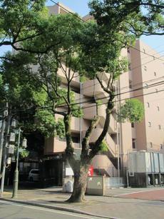 外観　32枚中 19枚目