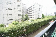 眺望　40枚中 12枚目