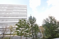 眺望　39枚中 14枚目