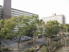 眺望　27枚中 12枚目