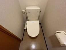 参考写真