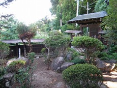 庭