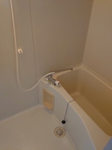 バス