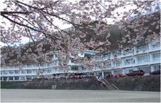 城北小学校