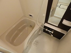 参考写真