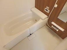 バス