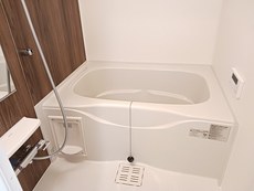 バス
