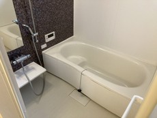 バス