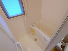 バス　29枚中 4枚目