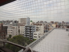 眺望　31枚中 13枚目