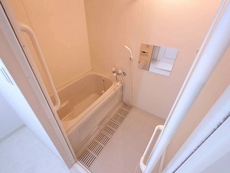 バス　35枚中 4枚目