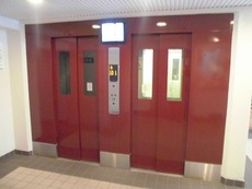 その他　11枚中 5枚目