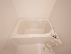 バス　32枚中 15枚目