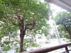 眺望　28枚中 13枚目