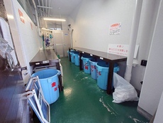 その他共用部　34枚中 32枚目