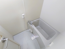 バス　33枚中 4枚目