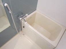 バス　22枚中 4枚目