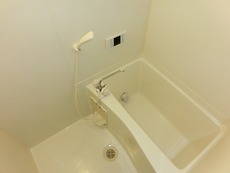 バス　29枚中 4枚目