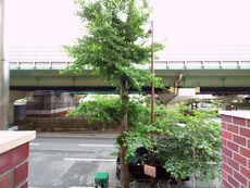 眺望　33枚中 15枚目