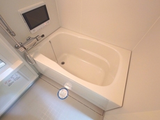 バス　34枚中 15枚目