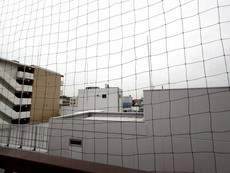 眺望　29枚中 13枚目