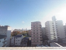 眺望　33枚中 13枚目