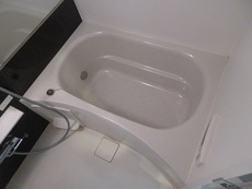 バス