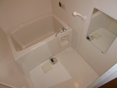 バス　19枚中 4枚目