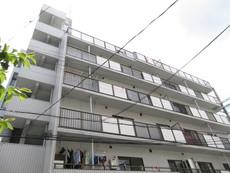 その他　33枚中 33枚目