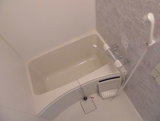 バス