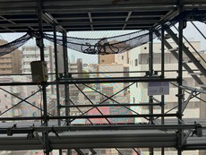 眺望　25枚中 12枚目