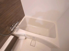 バス　24枚中 15枚目