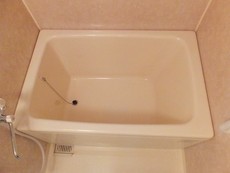 バス