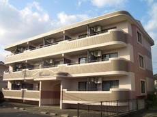 Y'swakaki 1