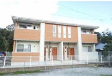 プラシード片島