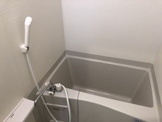 バス