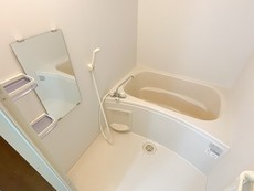 バス