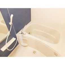 バス