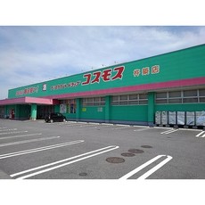 ドラックストア