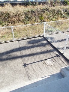 庭
