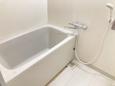 バス
