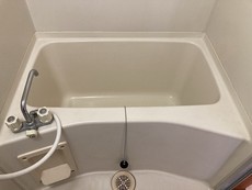 バス