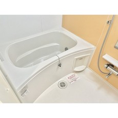 バス