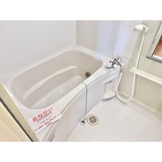 バス