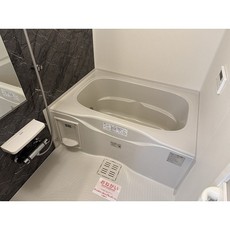 バス
