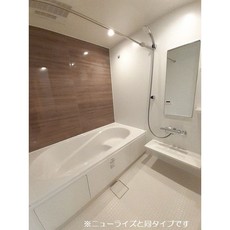 バス