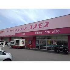 ドラックストア