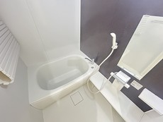 バス