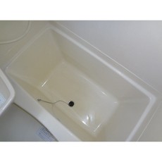バス